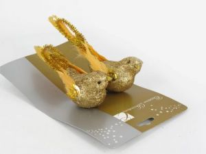Ptaszek na klipskie złoty
