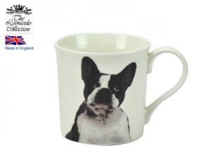 Kubek - pies French Bulldog