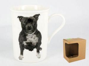 Kubek - Staffordshire Bull Terrier (FCH)