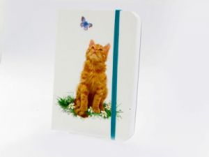 Notesik - Macneil Cats